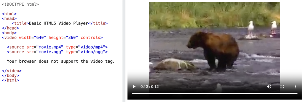 video playing using video tag on html5 video player